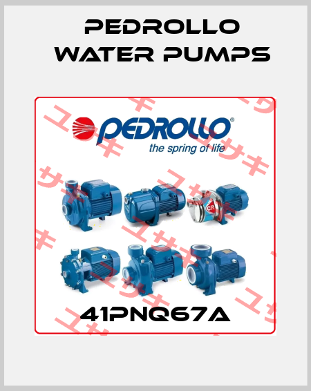 41PNQ67A Pedrollo Water Pumps