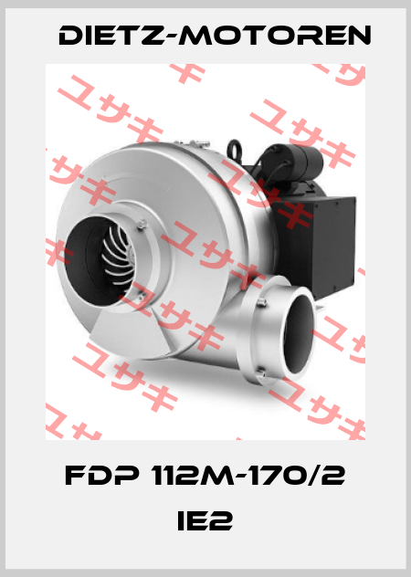 FDP 112M-170/2 IE2 Dietz-Motoren