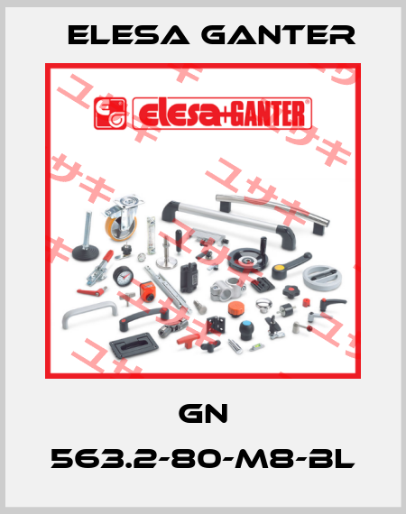 GN 563.2-80-M8-BL Elesa Ganter