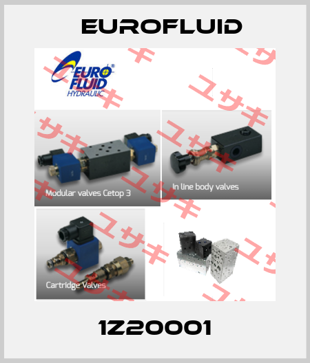 1Z20001 Eurofluid