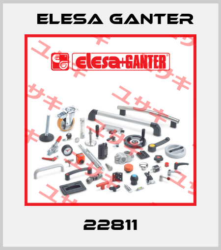 22811 Elesa Ganter