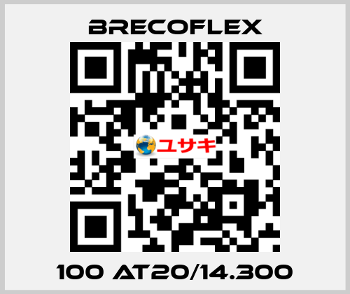 100 AT20/14.300 Brecoflex