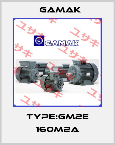 Type:GM2E 160M2A Gamak