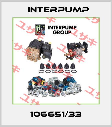 106651/33 Interpump