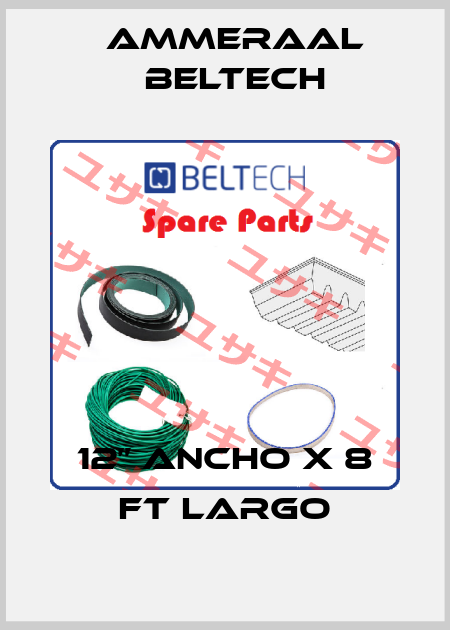 12” ANCHO X 8 FT LARGO Ammeraal Beltech
