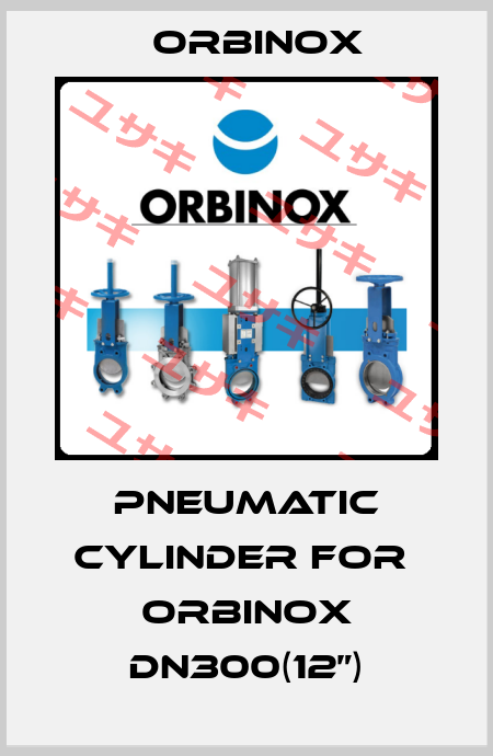 pneumatic cylinder for  ORBINOX DN300(12”) Orbinox