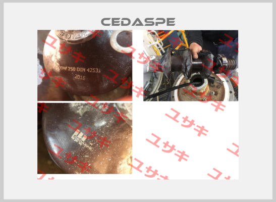 BD30F025A1 Cedaspe