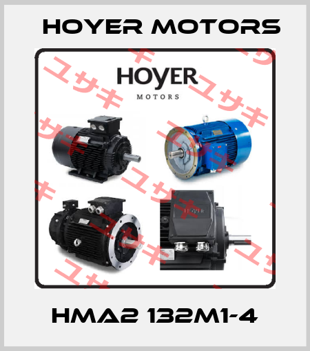 HMA2 132M1-4 Hoyer Motors