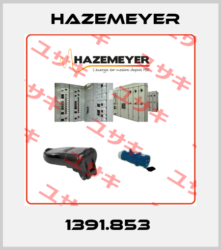 1391.853  Hazemeyer