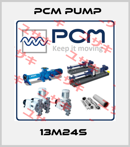 13M24S  PCM Pump