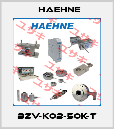 BZV-K02-50k-T HAEHNE