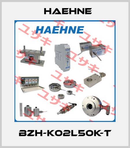 BZH-K02L50k-T HAEHNE