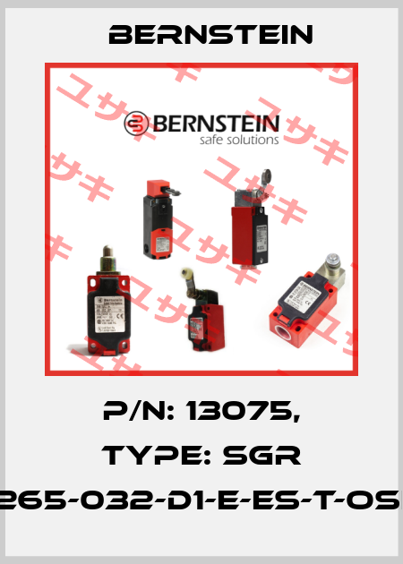 P/N: 13075, Type: SGR 15-265-032-D1-E-ES-T-OSE-5 Bernstein