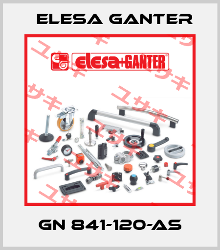 GN 841-120-AS Elesa Ganter