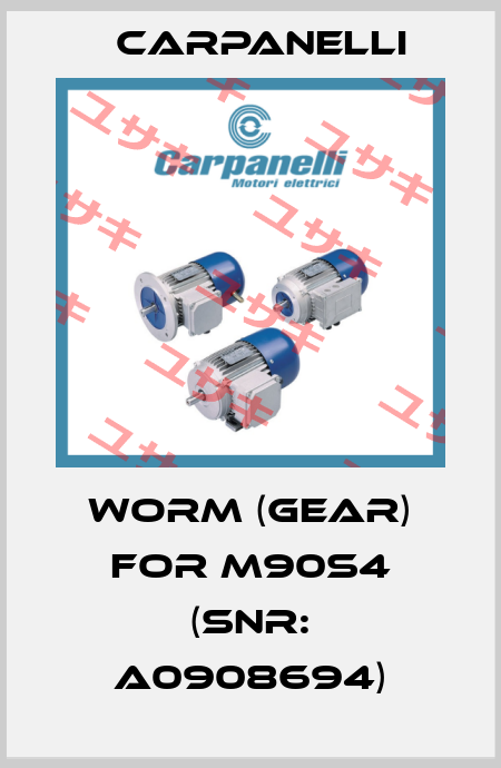 worm (gear) for M90S4 (Snr: A0908694) Carpanelli