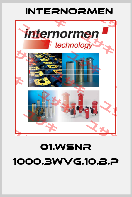 01.WSNR 1000.3WVG.10.B.P  Internormen