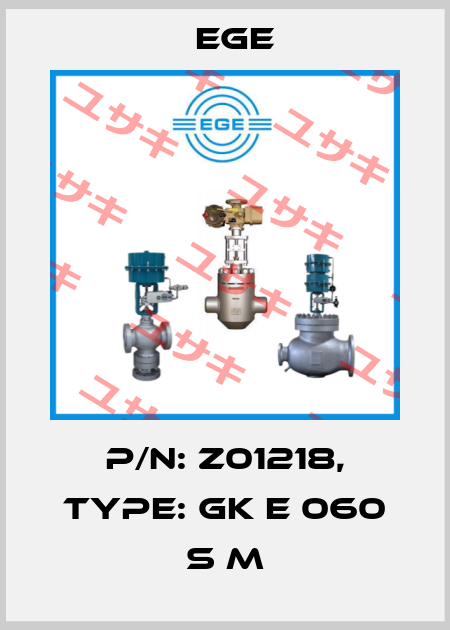 p/n: Z01218, Type: GK E 060 S M Ege