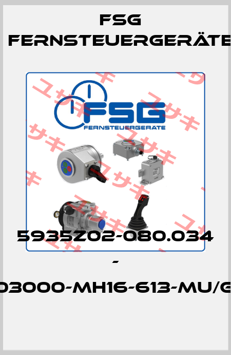 5935Z02-080.034 - SL003000-MH16-613-MU/GS80 FSG Fernsteuergeräte