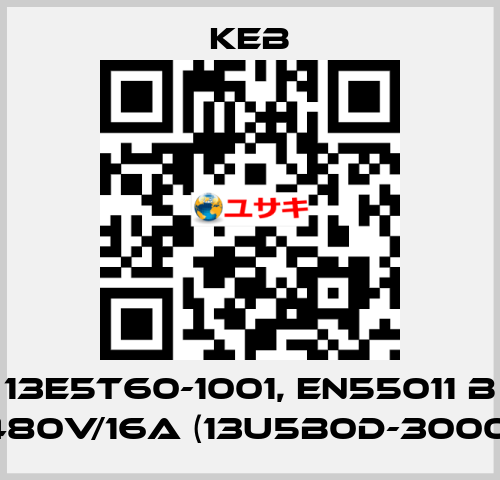 13E5T60-1001, EN55011 B 480V/16A (13U5B0D-3000) KEB
