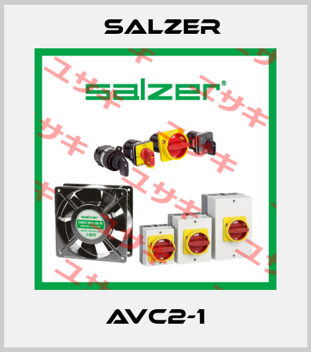 AVC2-1 Salzer