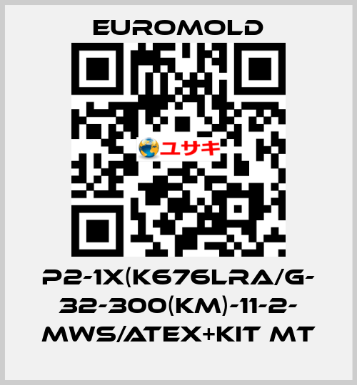 P2-1x(K676LRA/G- 32-300(KM)-11-2- MWS/ATEX+KIT MT EUROMOLD