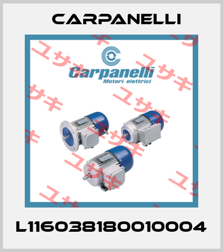 L116038180010004 Carpanelli