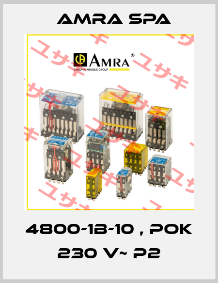 4800-1B-10 , POK 230 V~ P2 Amra SpA
