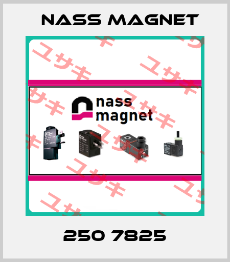 250 7825 Nass Magnet