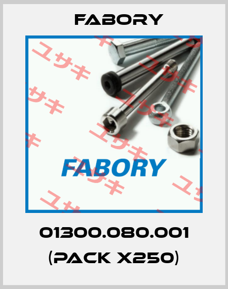 01300.080.001 (pack x250) Fabory