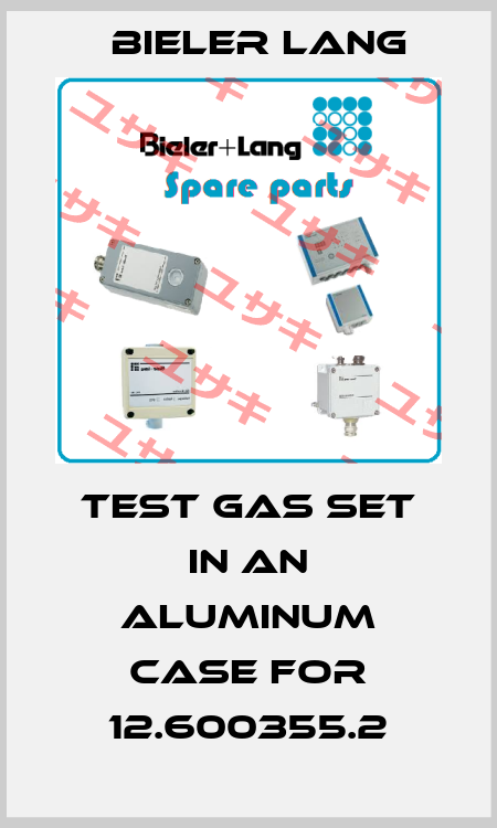 Test gas set in an aluminum case for 12.600355.2 Bieler Lang