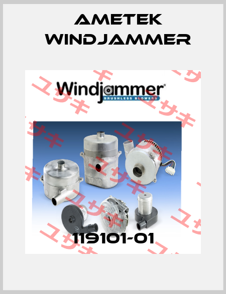 119101-01 Ametek Windjammer