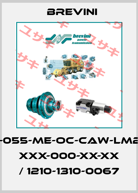SH11C-M-055-ME-OC-CAW-LM2-RV-V-X XXX-000-XX-XX / 1210-1310-0067 Brevini