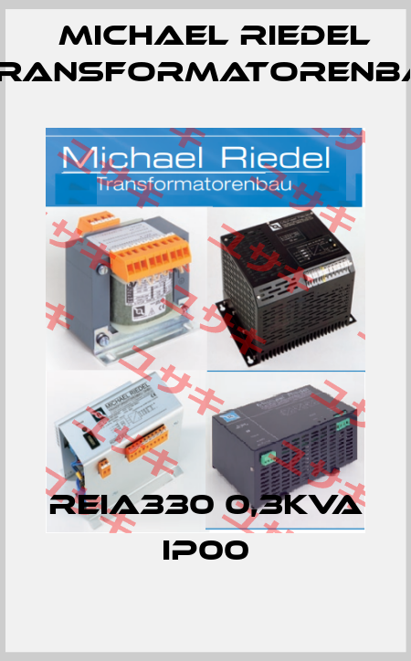 REIA330 0,3kVA IP00 Michael Riedel Transformatorenbau