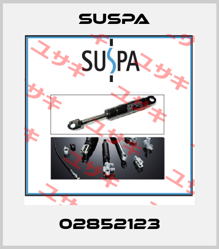 02852123 Suspa