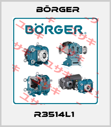 R3514L1  Börger