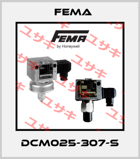 DCM025-307-S FEMA