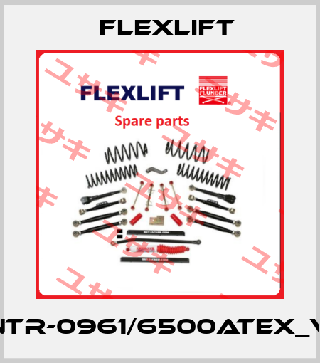 ANTR-0961/6500ATEX_VM Flexlift