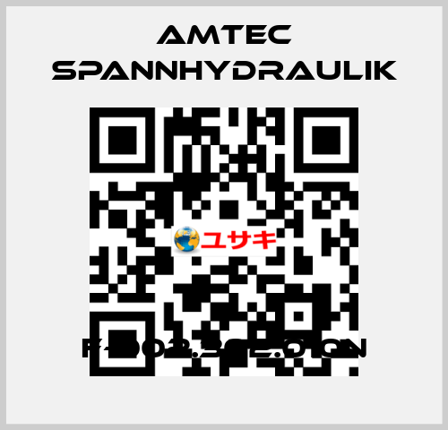 F-002.302.010N Amtec Spannhydraulik