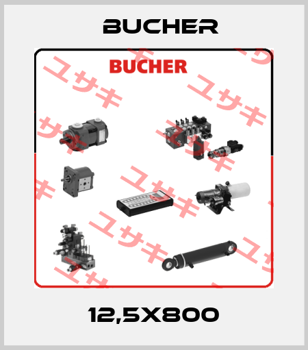 12,5X800 Bucher