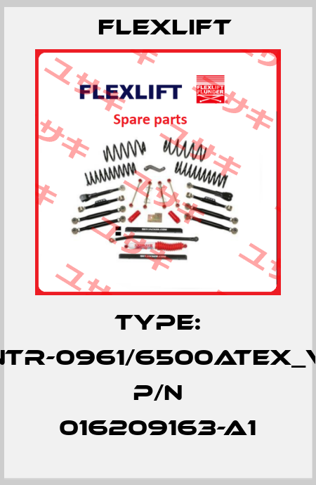 Type: ANTR-0961/6500ATEX_VM  P/N 016209163-A1 Flexlift