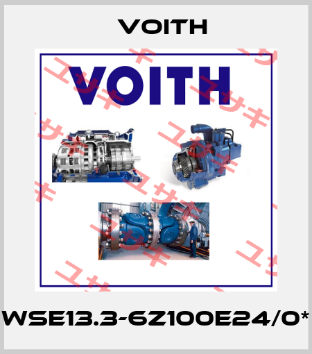 WSE13.3-6Z100E24/0* Voith