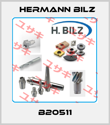 B20511 Hermann Bilz