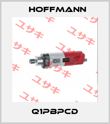 Q1PBPCD Hoffmann