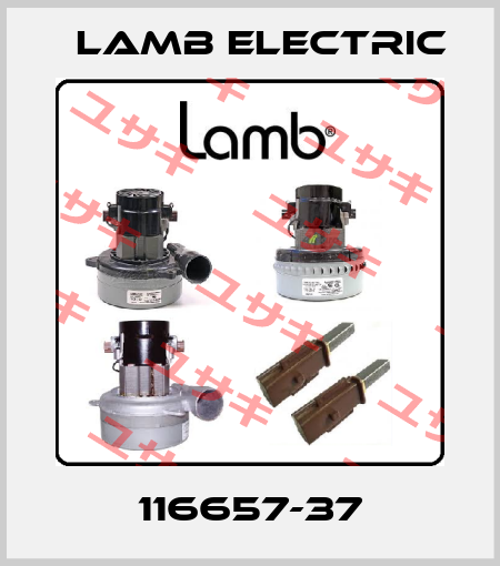 116657-37 Lamb Electric