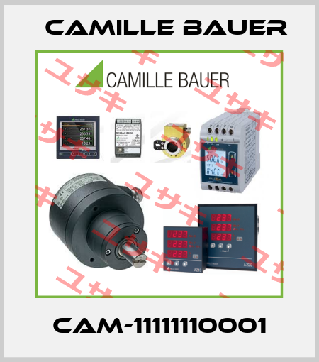 CAM-11111110001 Camille Bauer