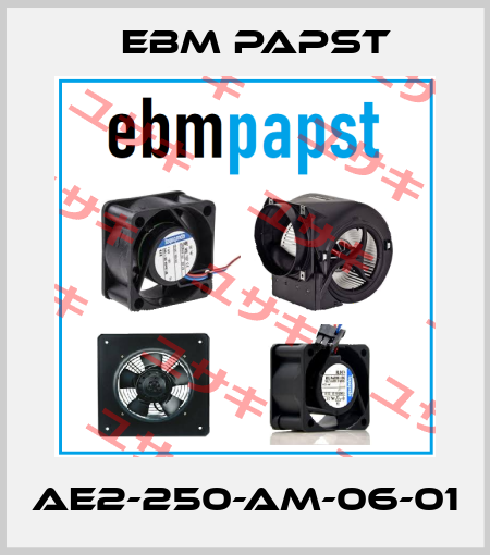 AE2-250-AM-06-01 EBM Papst