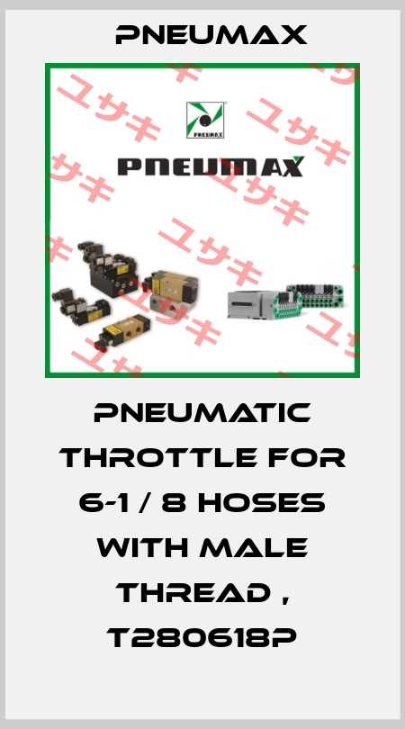 Pneumatic throttle for 6-1 / 8 hoses with male thread , T280618P Pneumax
