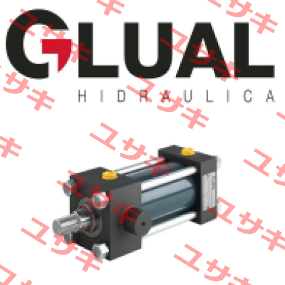 SEAL KIT FOR CYL 160/125-100/80-60X3759 DWG. 74.264/J Glual Hydraulics