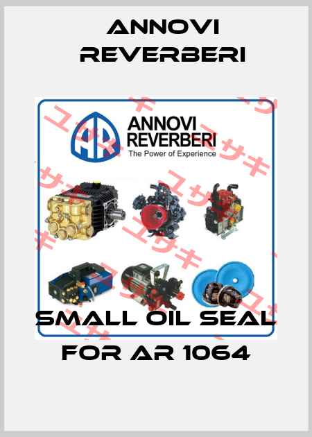 Small oil seal For AR 1064 Annovi Reverberi