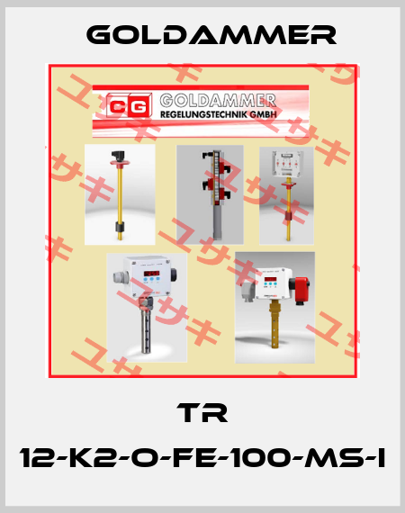 TR 12-K2-O-FE-100-MS-I Goldammer